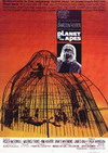 The Planet of the Apes Poster